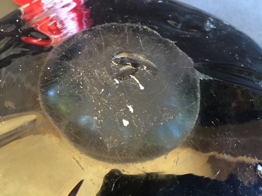 Art Glass Lot [Photo 13]