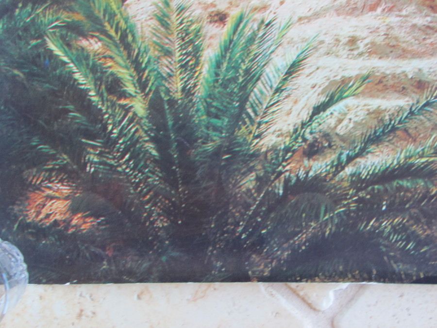 Original Vintage Tunisie Oasis Travel Poster [Photo 5]