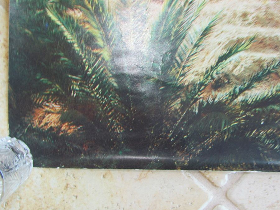 Original Vintage Tunisie Oasis Travel Poster [Photo 4]