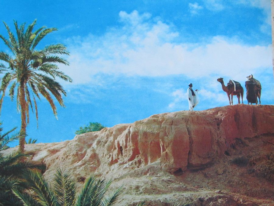 Original Vintage Tunisie Oasis Travel Poster [Photo 3]