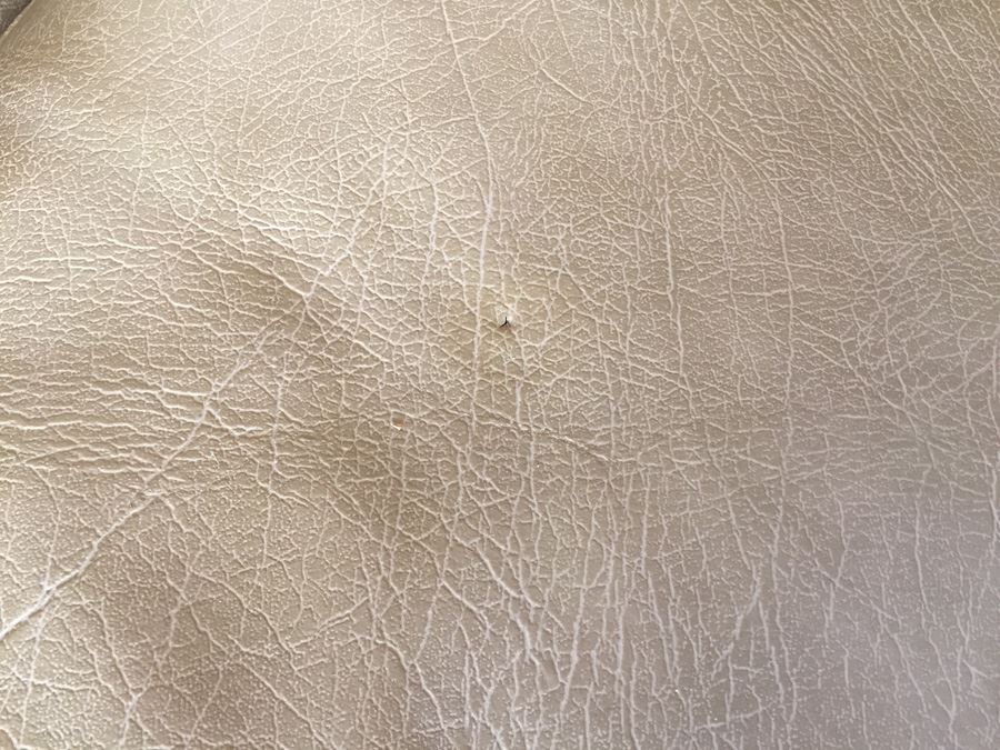 Mid-Century Modern Synthetic Chair With Ottoman [Photo 11]