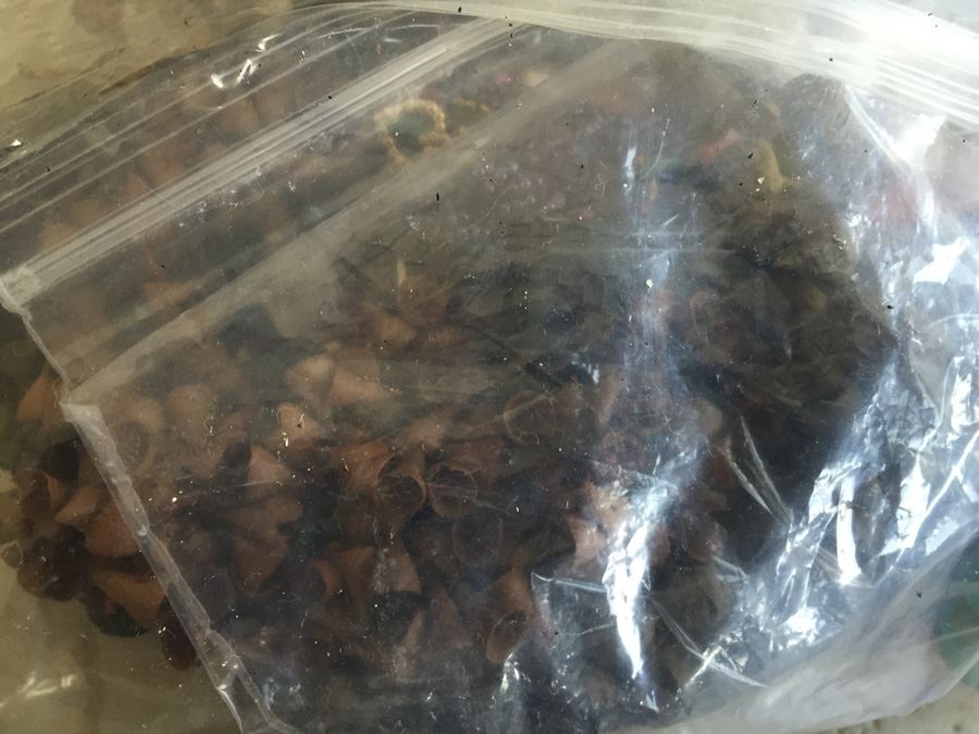 Jewelry Lot #17 - Assorted Jewelry In Large Bag [Photo 15]