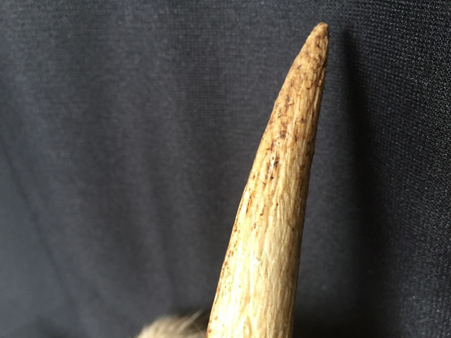 Hand Painted Hand Carved Mask [Photo 12]