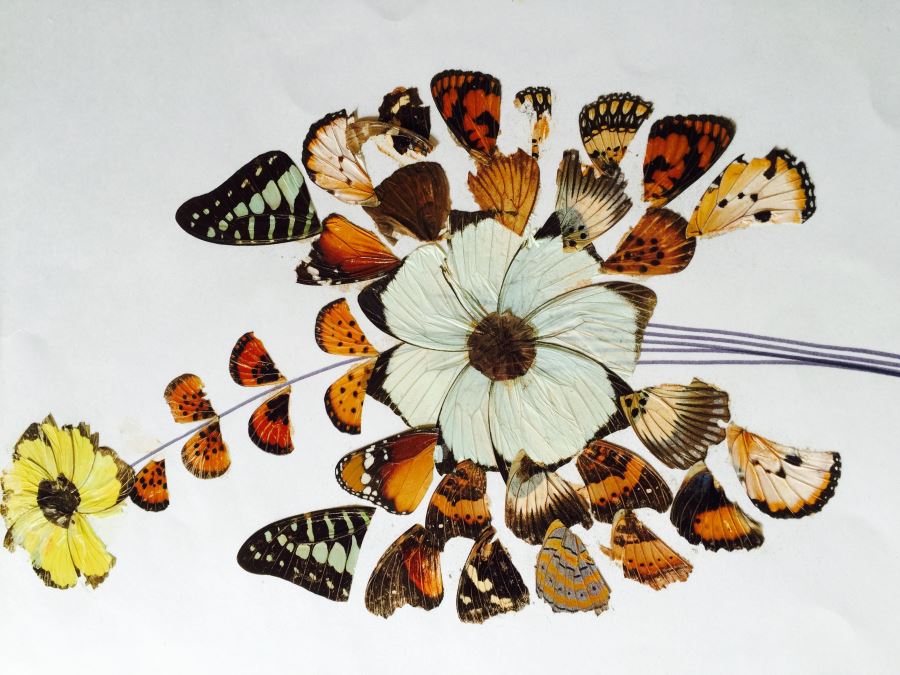 Original African Artwork Applique From Butterfly Wings [Photo 2]