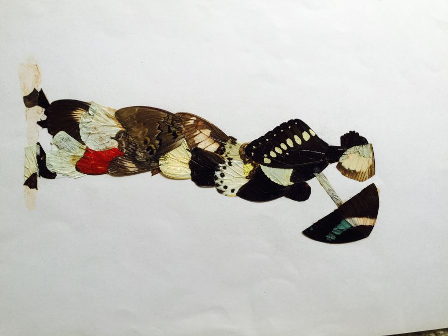 Original African Artwork Applique From Butterfly Wings [Photo 9]