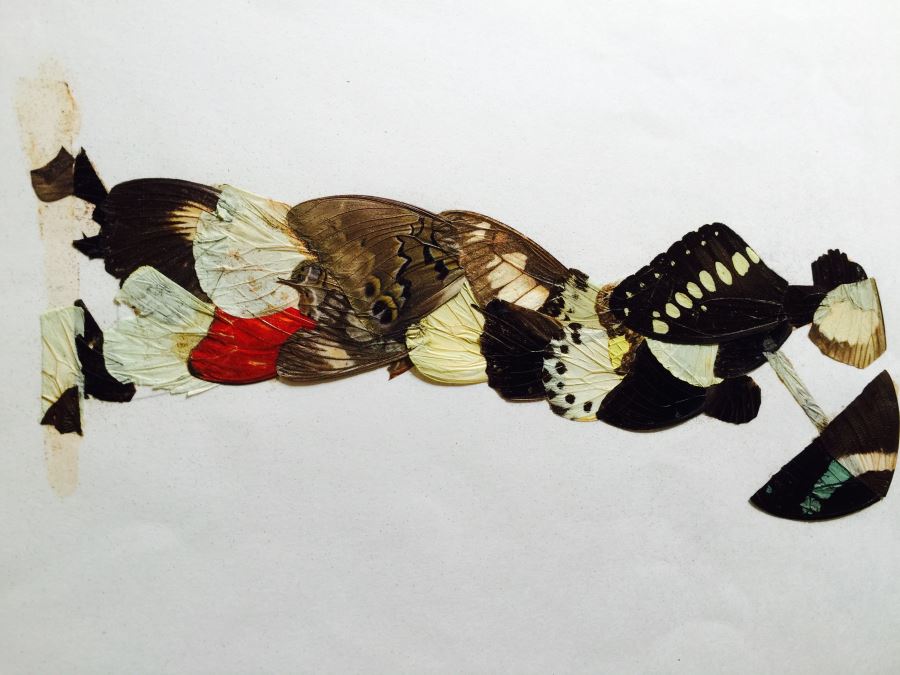 Original African Artwork Applique From Butterfly Wings [Photo 10]