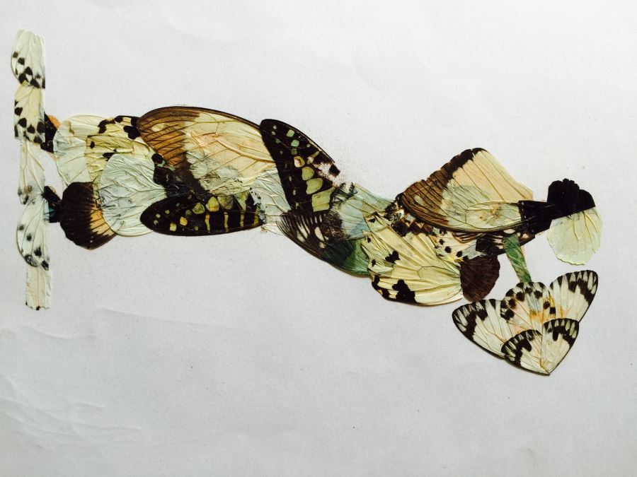 Original African Artwork Applique From Butterfly Wings [Photo 7]