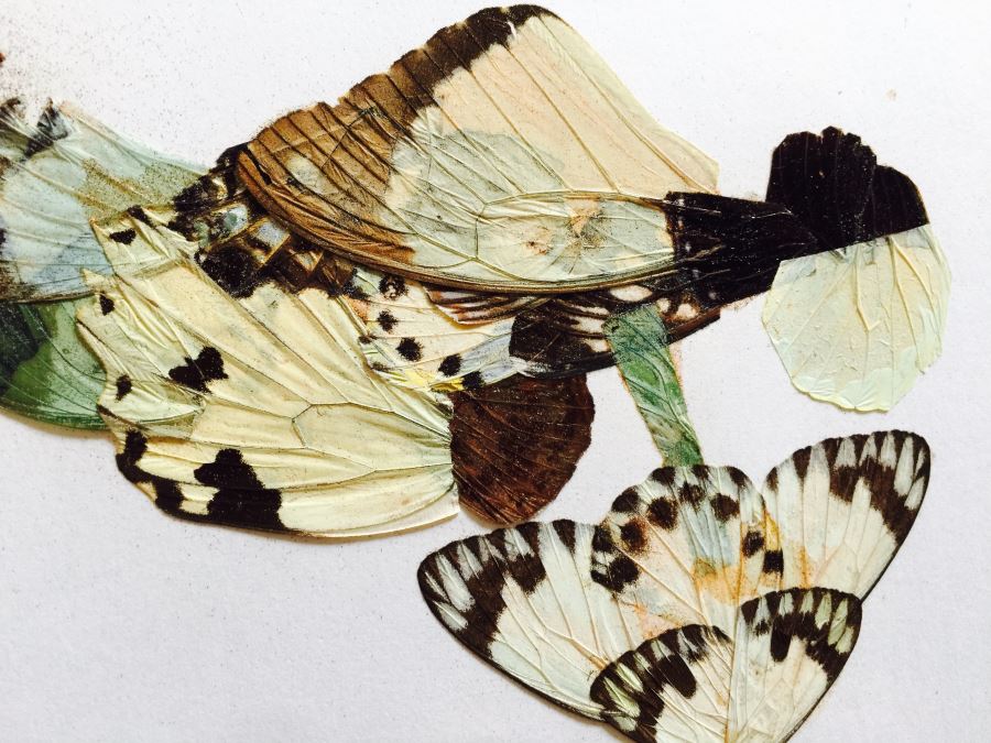 Original African Artwork Applique From Butterfly Wings [Photo 8]