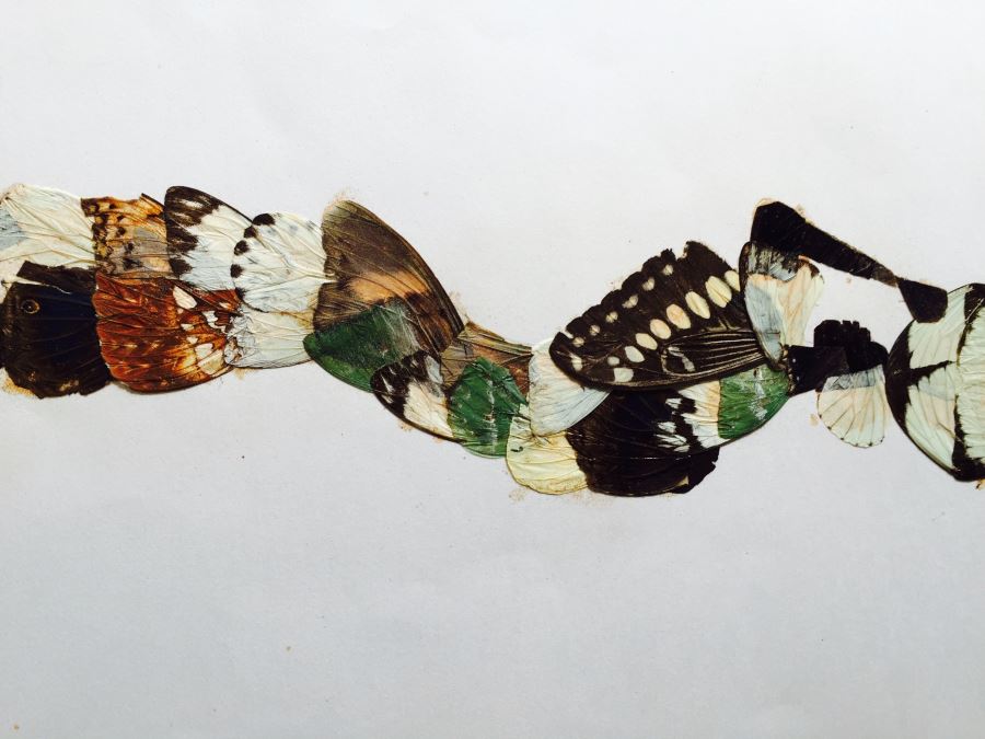 Original African Artwork Applique From Butterfly Wings [Photo 5]