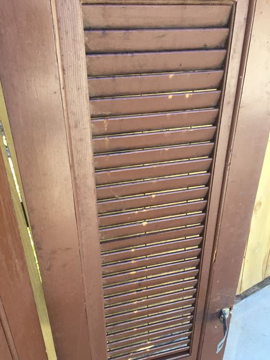 Vintage Double Hinged Door [Photo 4]