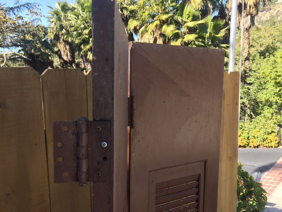 Vintage Double Hinged Door [Photo 3]