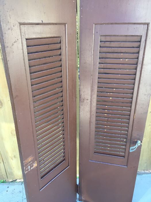 Vintage Double Hinged Door [Photo 2]