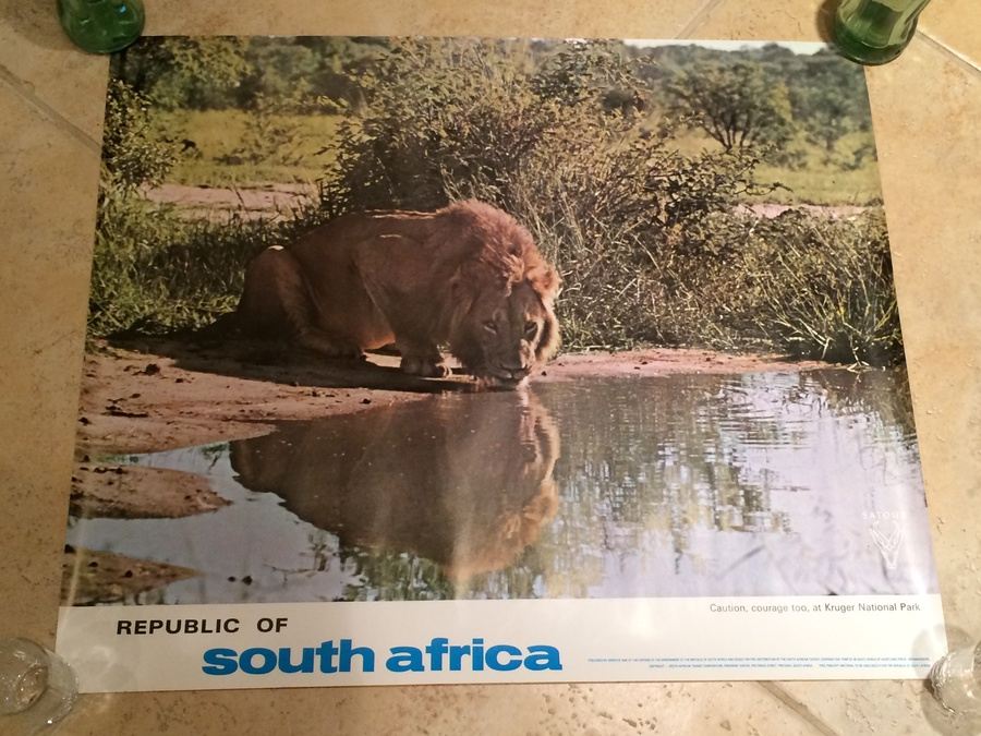 Original Vintage South Africa Travel Poster - Lion
