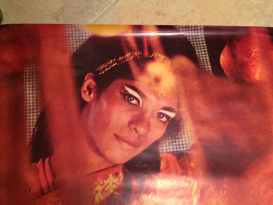 Original Vintage India Travel Poster [Photo 2]