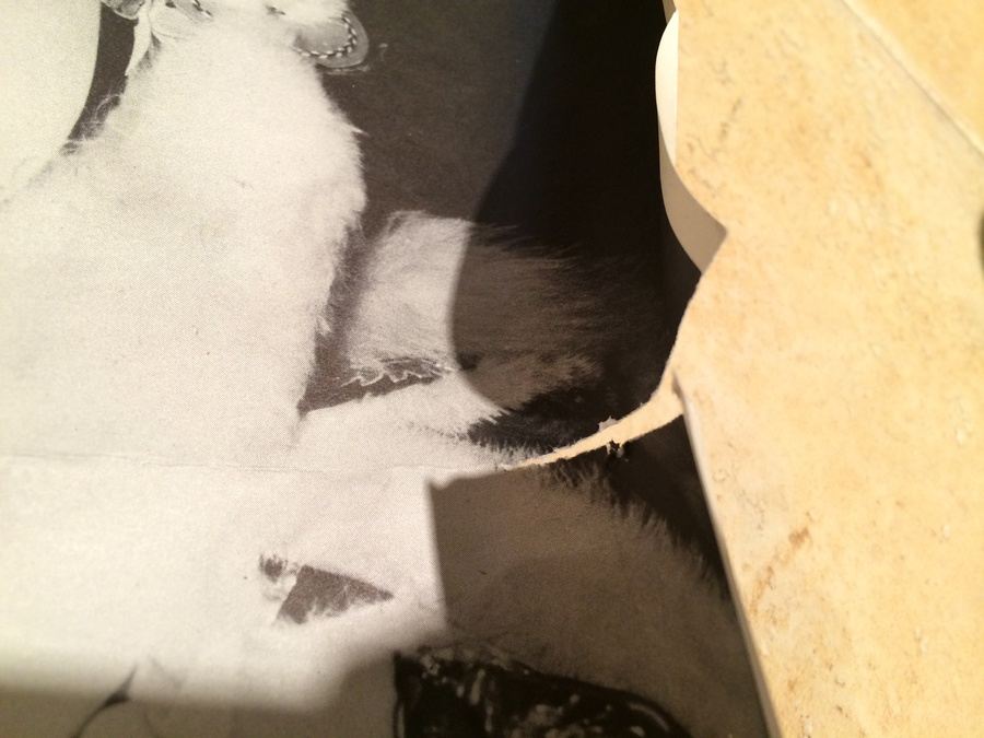 Original Vintage Chinese Travel Poster [Photo 6]