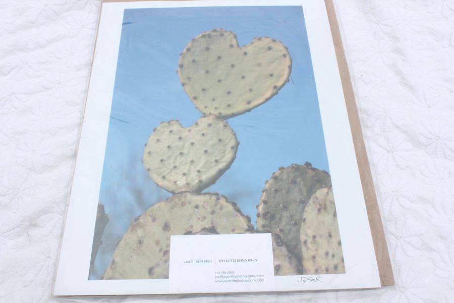 Photograph Of Heart Shaped Cactus Signed Jay Smith