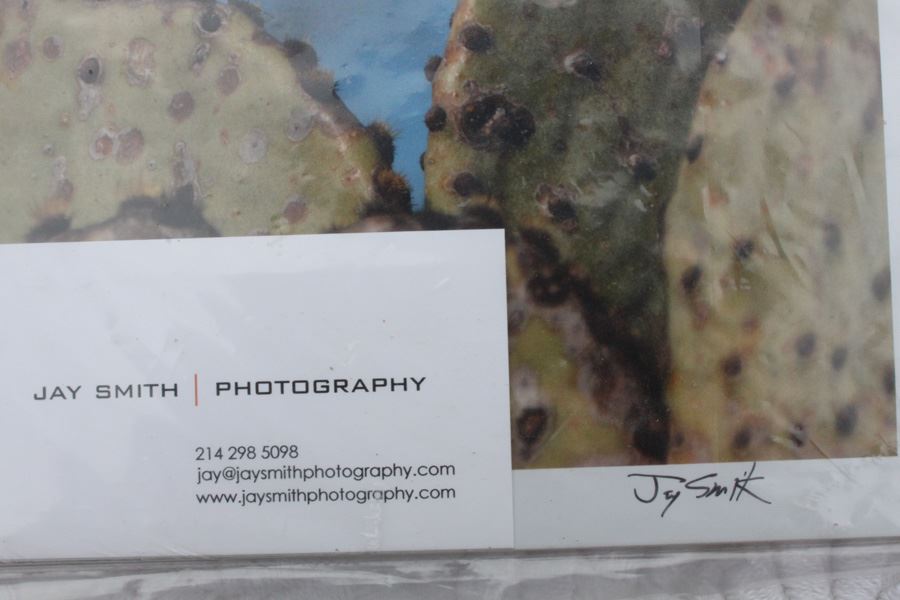 Photograph Of Heart Shaped Cactus Signed Jay Smith [Photo 2]