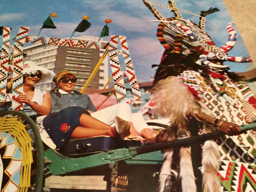 Original Vintage South Africa Travel Poster [Photo 5]