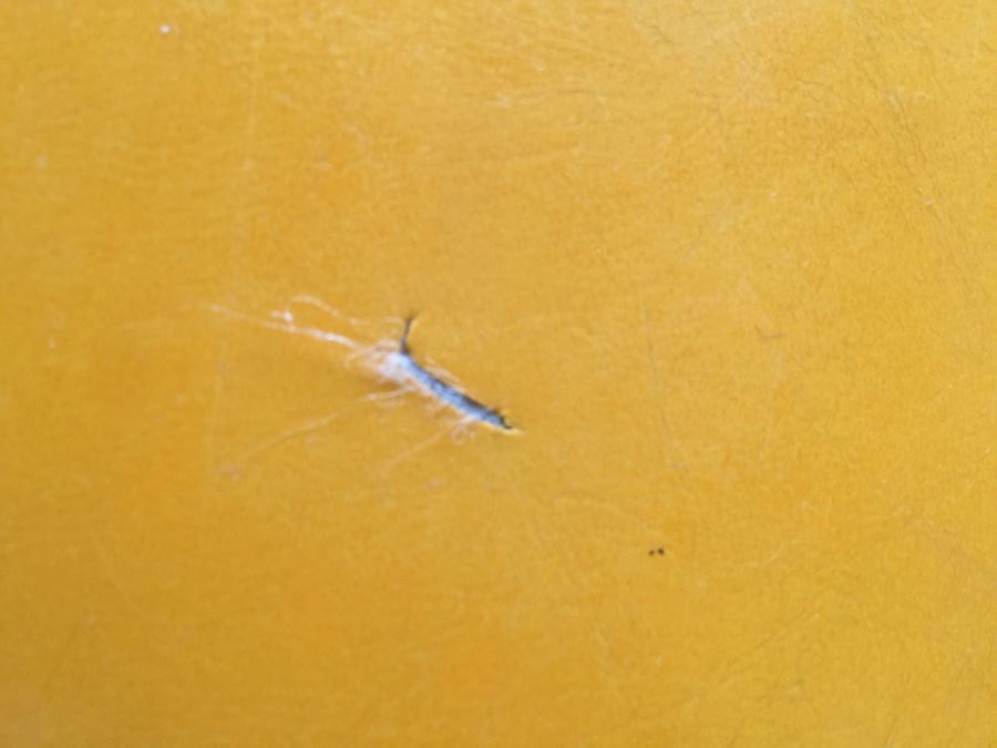 Mid-Century Modern White Bar Stool [Photo 5]