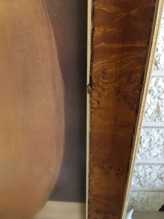 Pear Print In A Beautiful Frame [Photo 8]