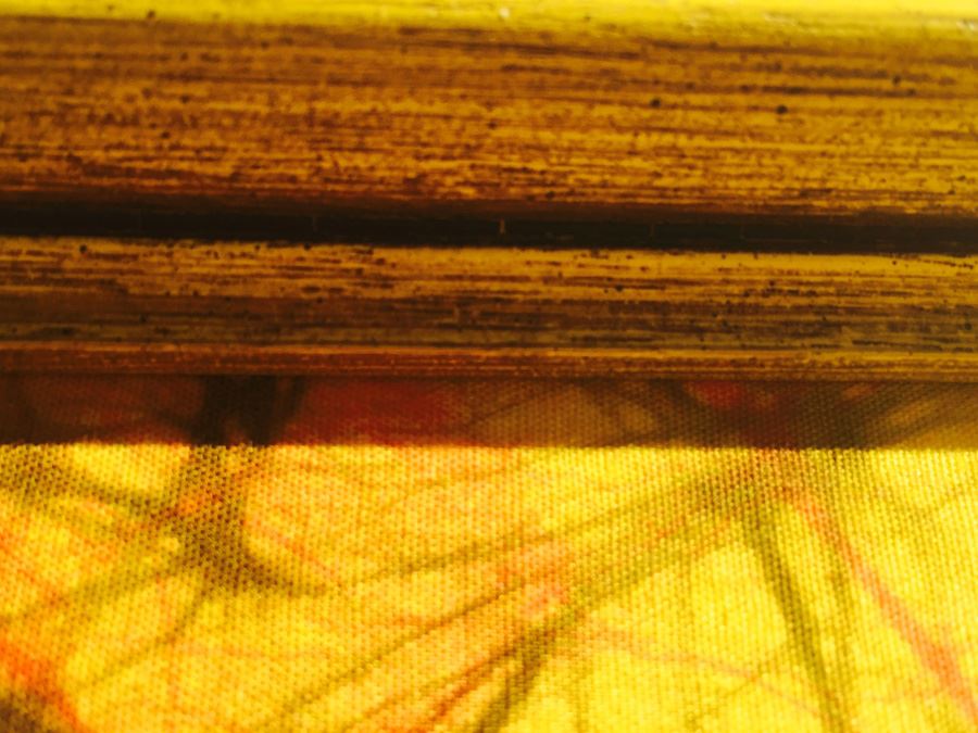 Large Yellow Batik Vintage Artwork Of Bird Framed [Photo 9]