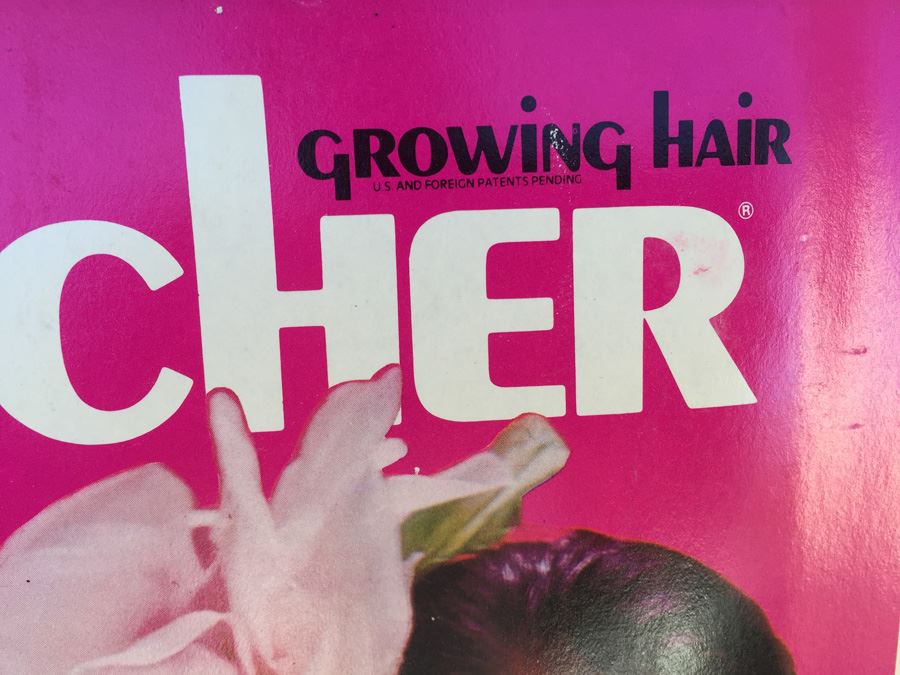 Cher Growing Hair 12 1/4' Action Figure By MEGO Vintage 1976 New In Box [Photo 5]