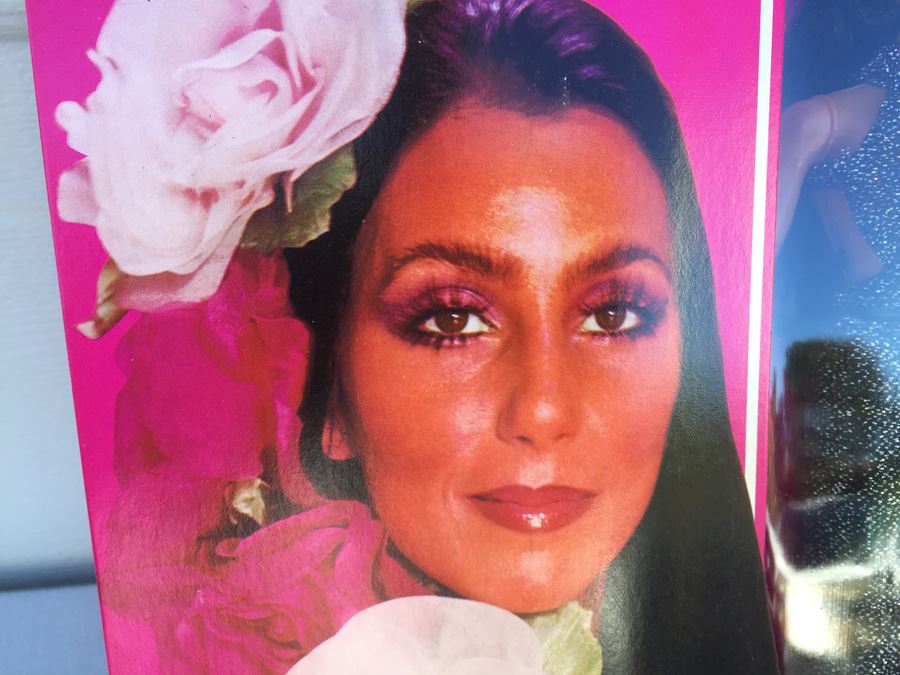 Cher Growing Hair 12 1/4' Action Figure By MEGO Vintage 1976 New In Box [Photo 6]