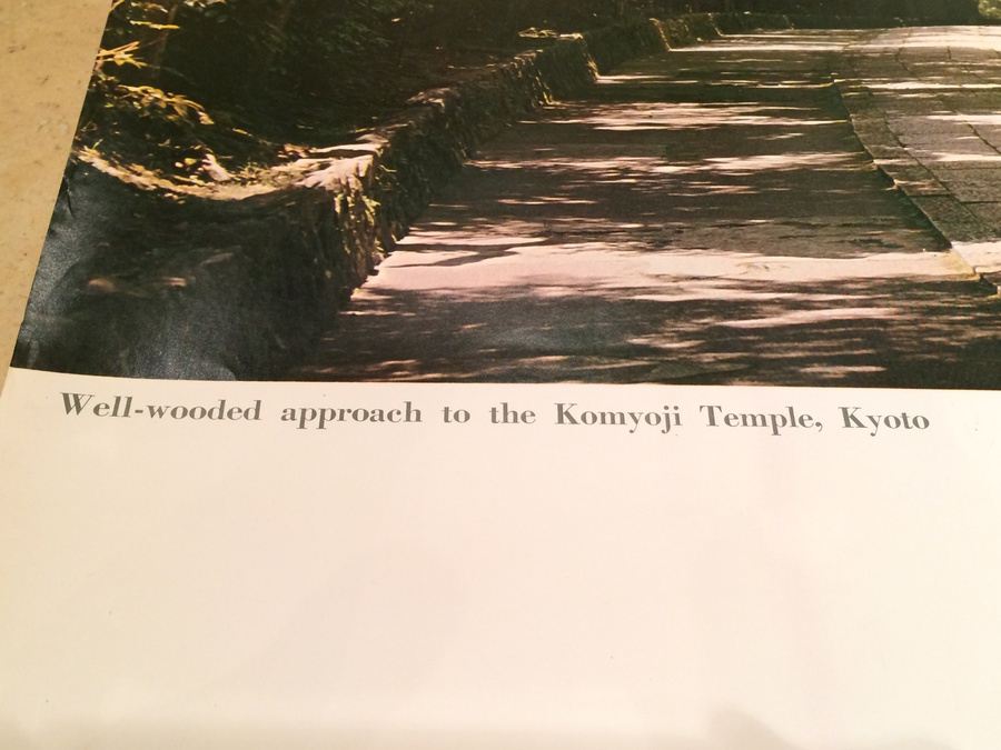 Original Vintage Japan Travel Poster [Photo 2]