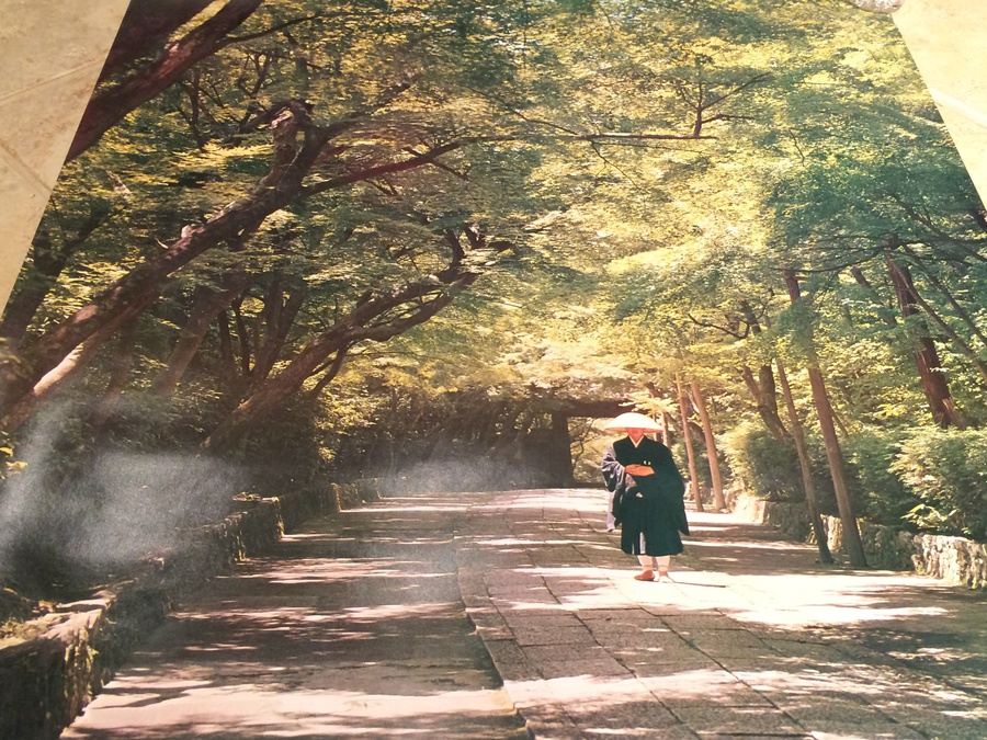 Original Vintage Japan Travel Poster [Photo 6]