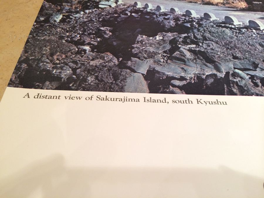 Original Vintage Japan Travel Poster [Photo 4]