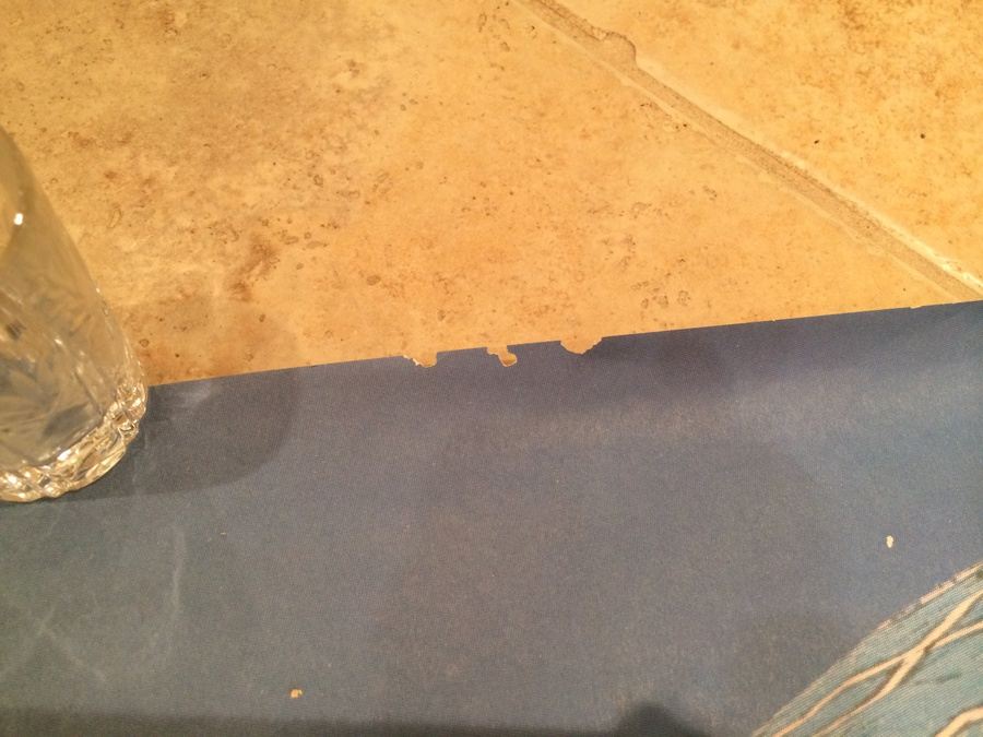 Original Vintage Iran Persia Travel Poster [Photo 12]