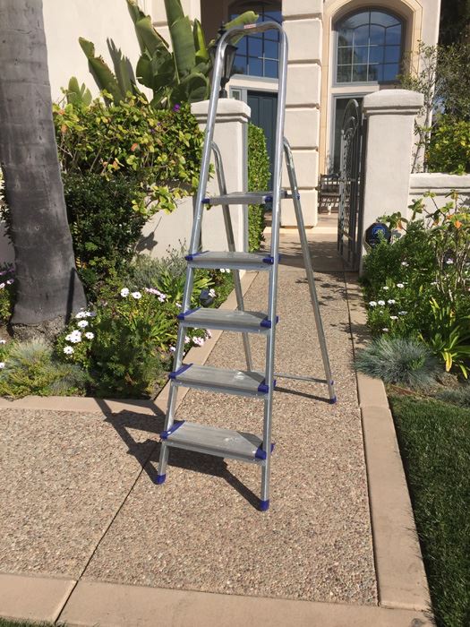 Aluminum Leifheit Ladder