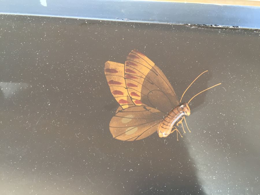 Tray Lot Butterflies Owl Dansk [Photo 10]