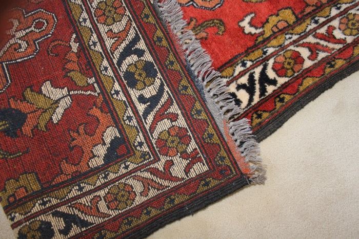  Persian Area Rug [Photo 5]