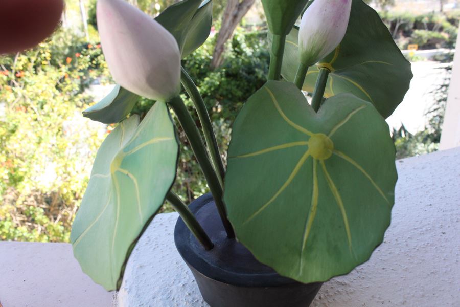 Artificial Plants [Photo 3]