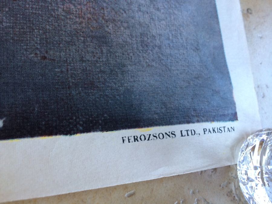 Original Vintage Pakistan Travel Poster [Photo 6]