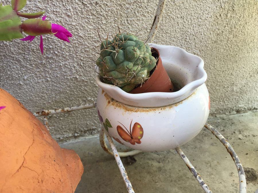 Metal Garden Planter Filled With Potted Plants [Photo 10]
