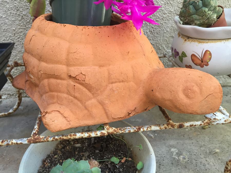 Metal Garden Planter Filled With Potted Plants [Photo 11]