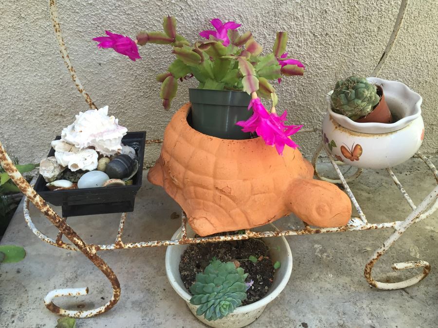 Metal Garden Planter Filled With Potted Plants [Photo 5]