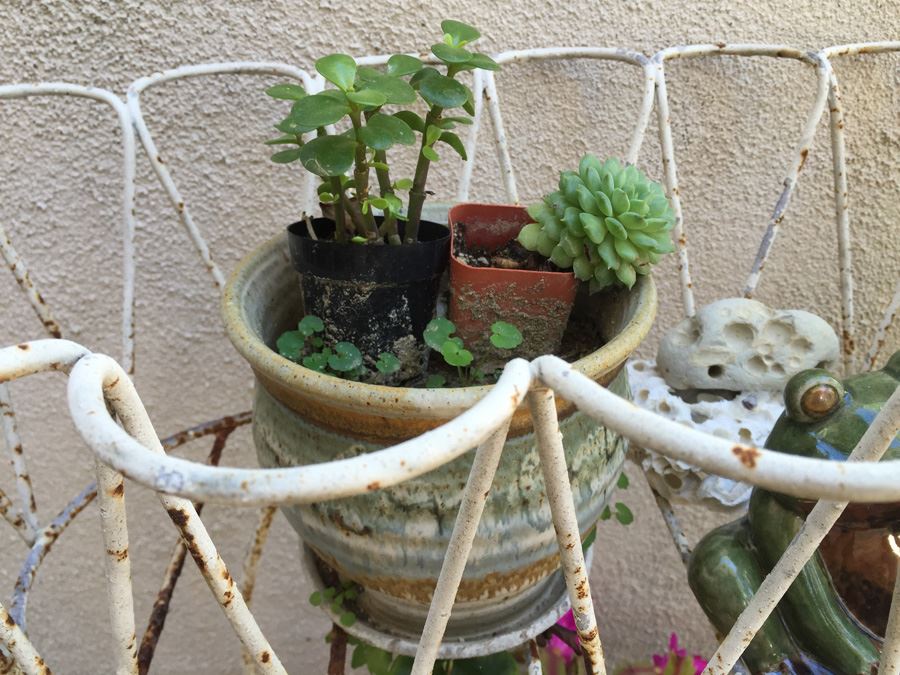 Metal Garden Planter Filled With Potted Plants [Photo 6]