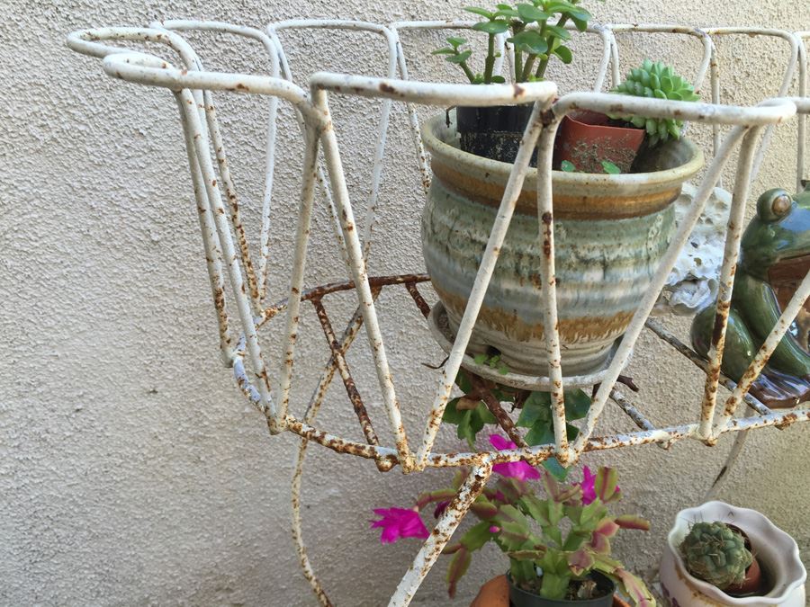 Metal Garden Planter Filled With Potted Plants [Photo 2]
