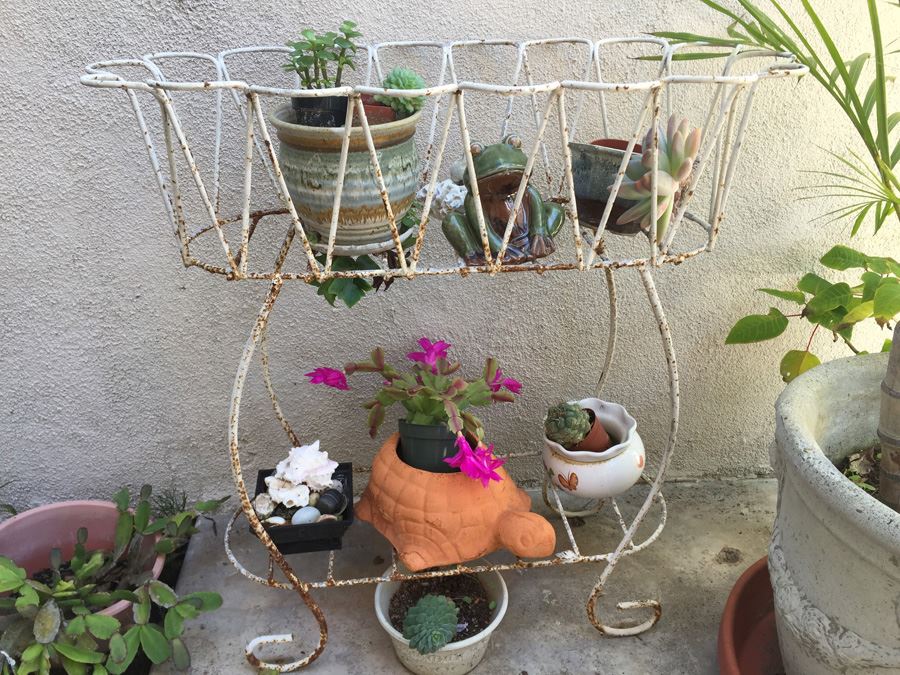 Metal Garden Planter Filled With Potted Plants