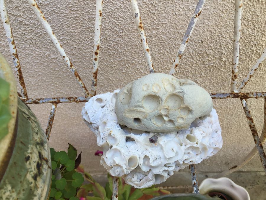 Metal Garden Planter Filled With Potted Plants [Photo 9]