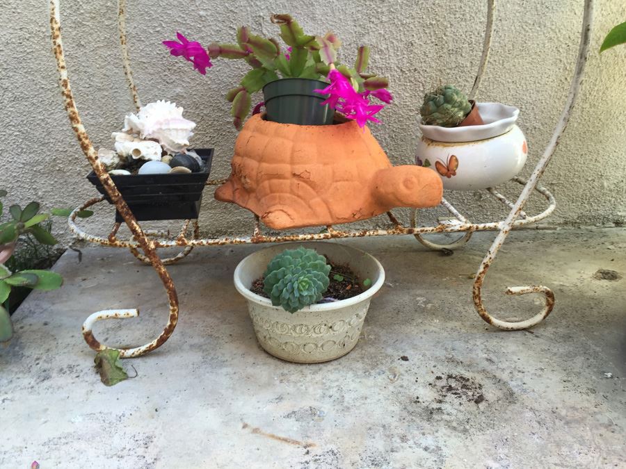 Metal Garden Planter Filled With Potted Plants [Photo 4]