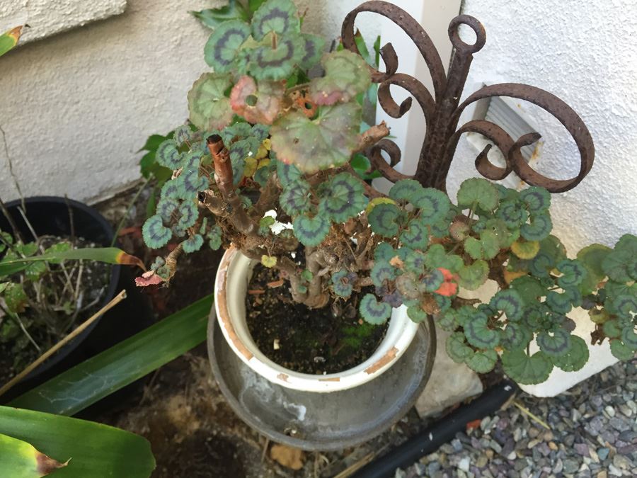 Metal Planter Pot Stand With Potted Plant [Photo 8]