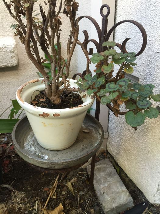 Metal Planter Pot Stand With Potted Plant [Photo 4]