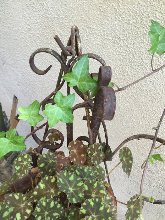 Metal Pot Stand With Potted Plant [Photo 3]