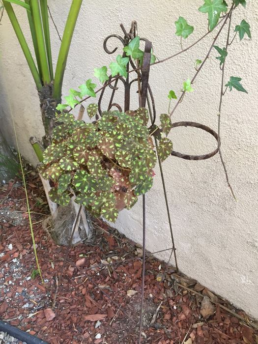 Metal Pot Stand With Potted Plant