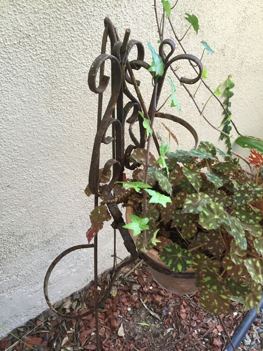 Metal Pot Stand With Potted Plant [Photo 6]