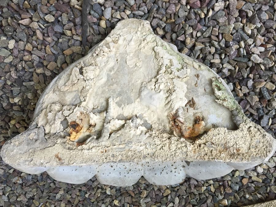 Architectural Planter [Photo 4]